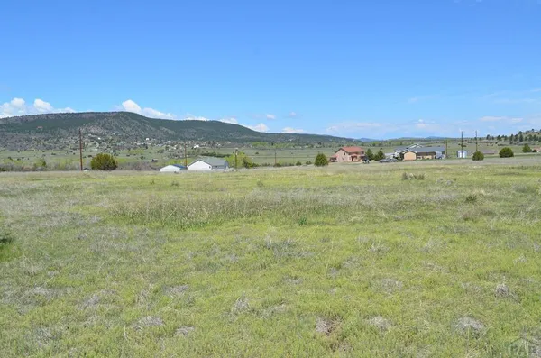 $14,900 | 3423 Lagrima De Oro Street, Rye, CO 81069