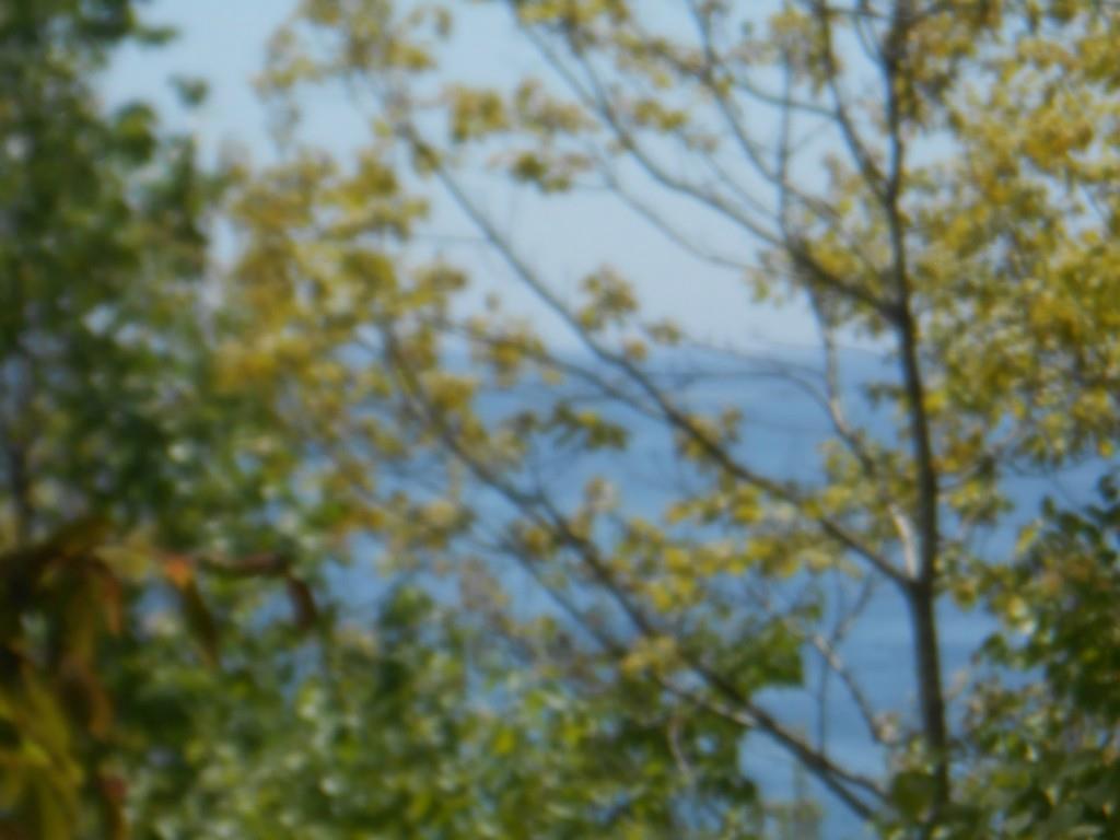 149 Farnham Point Road Boothbay, ME 04544 - Photo 6 of 15 Photo