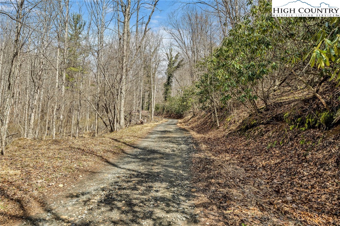 3186-3190 Silas Creek Road Lansing, NC 28643 - Photo 28 of 50 a view of small yard