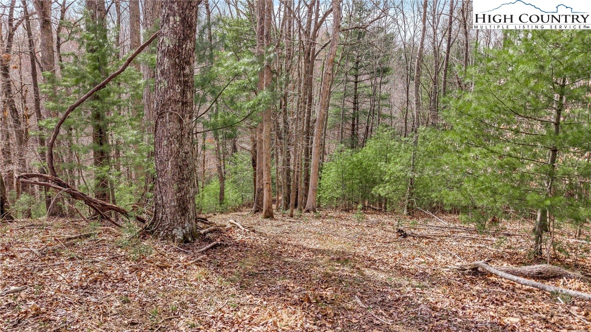 3186-3190 Silas Creek Road Lansing, NC 28643 - Photo 45 of 50 a view of outdoor space and trees