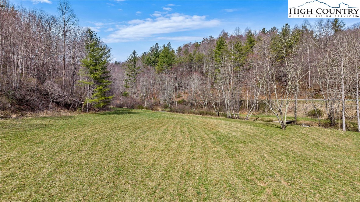 3186-3190 Silas Creek Road Lansing, NC 28643 - Photo 48 of 50 a view of a yard with trees