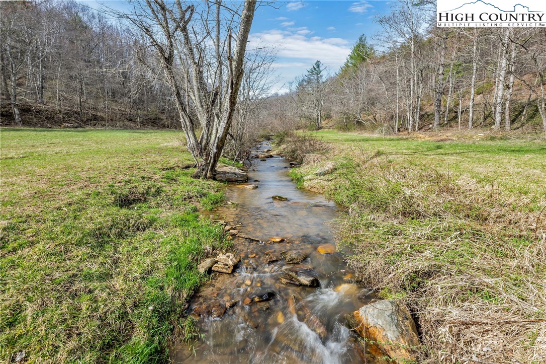 3186-3190 Silas Creek Road Lansing, NC 28643 - Photo 50 of 50 a view of a yard with an trees