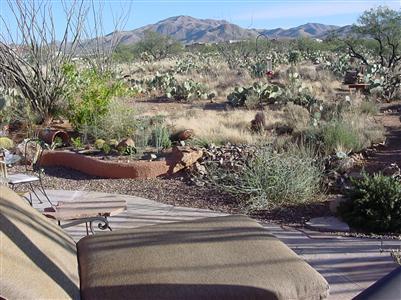16646 Sycamore Ridge Trail Vail, AZ 85641 - Photo 8 of 10 Gallery Image 8