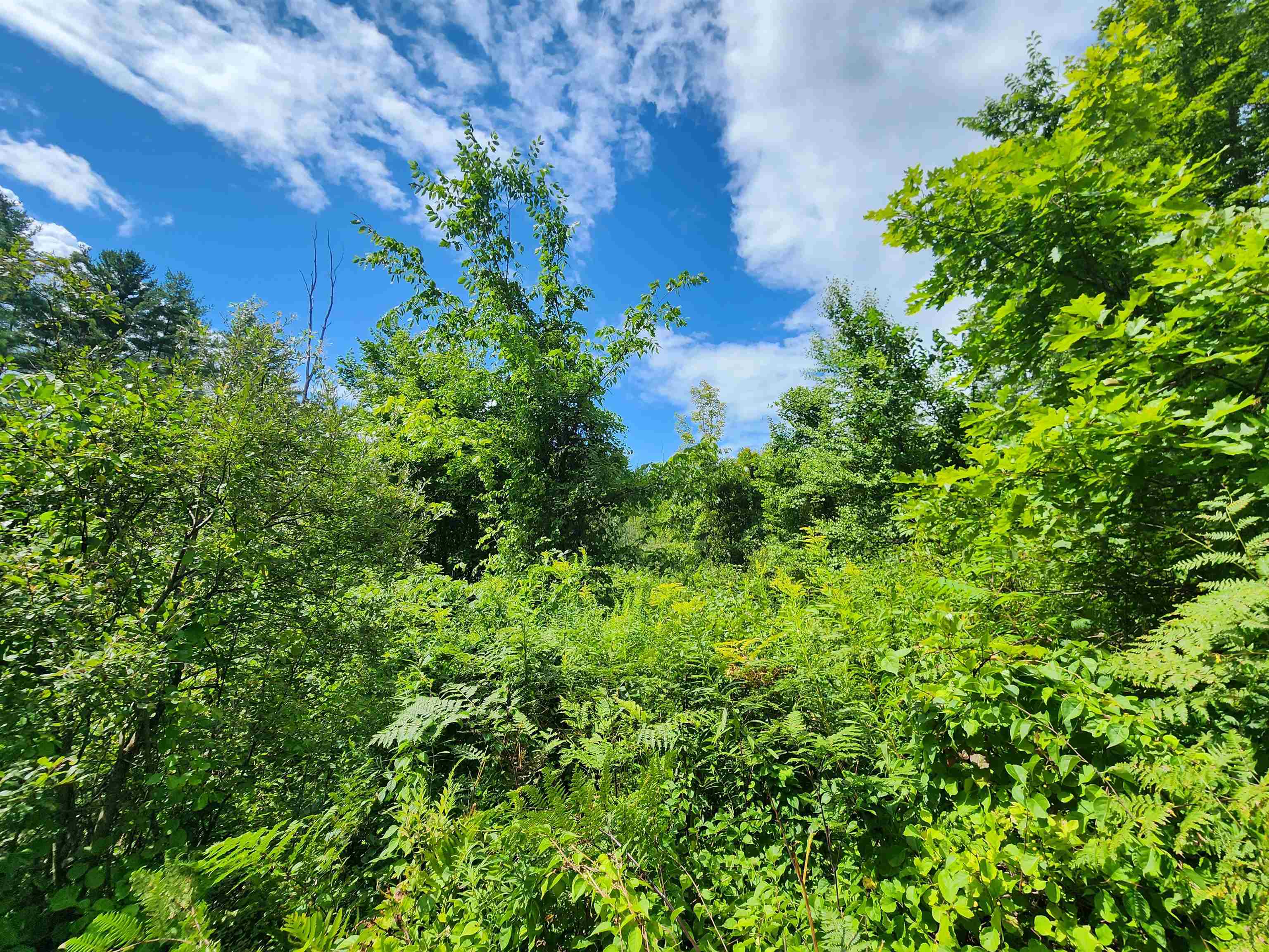 0 Eaton Avenue Springfield, VT 05156 - Photo 11 of 13