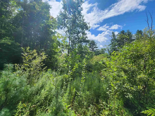 $119,900 | 0 Eaton Avenue, Springfield, VT 05156