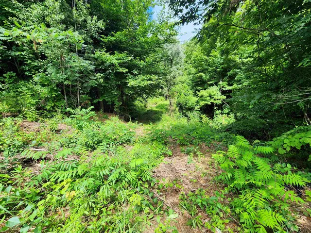 $119,900 | 0 Eaton Avenue, Springfield, VT 05156