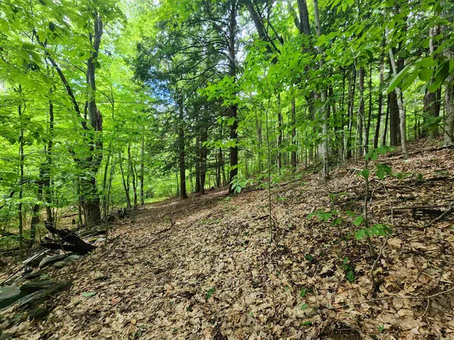 $119,900 | 0 Eaton Avenue, Springfield, VT 05156