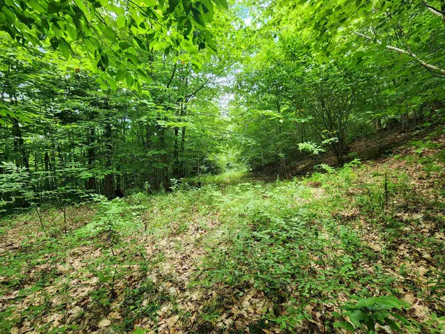 $119,900 | 0 Eaton Avenue, Springfield, VT 05156