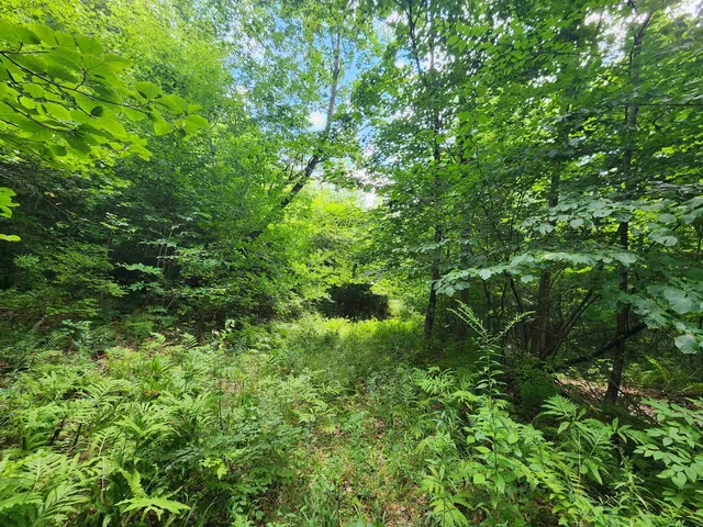 $119,900 | 0 Eaton Avenue, Springfield, VT 05156