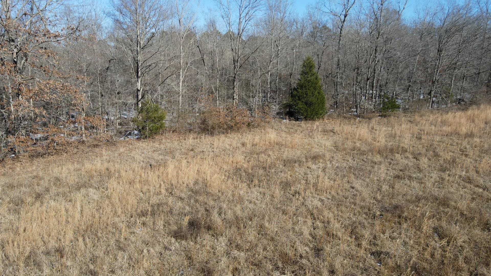 0 Bateman Road Moscow, TN 38057 - Photo 6 of 20