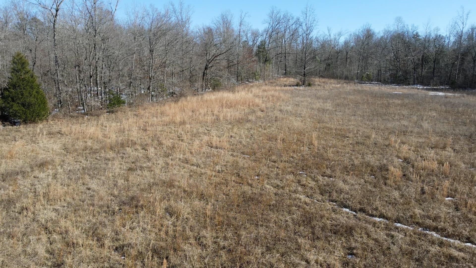 0 Bateman Road Moscow, TN 38057 - Photo 7 of 20 a view of a forest with trees in the background