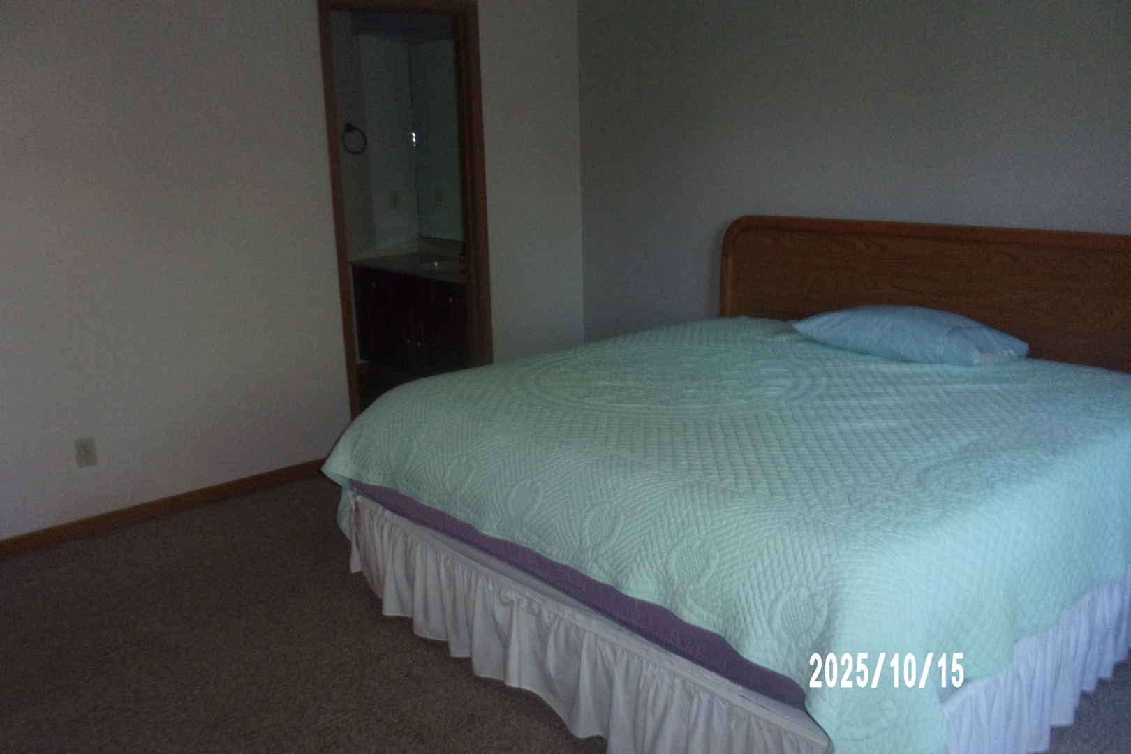 707 East Ash Street Watseka, IL 60970 - Photo 20 of 25 a bedroom with a bed
