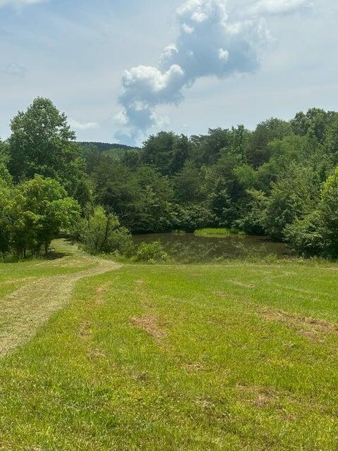 15 McCabe Road Spring City, TN 37381 - Photo 3 of 8 J8