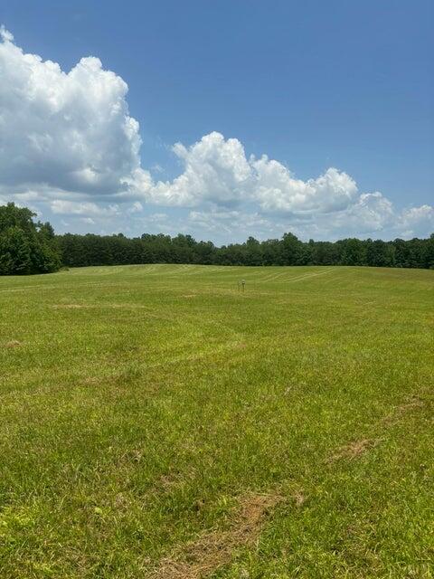 15 McCabe Road Spring City, TN 37381 - Photo 5 of 8 J6