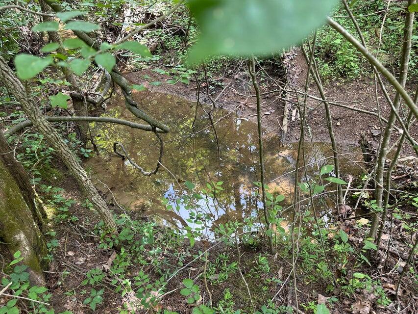 15 McCabe Road Spring City, TN 37381 - Photo 8 of 8 J3
