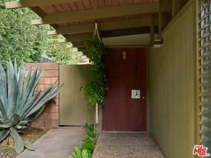 a potted plant in front of a door