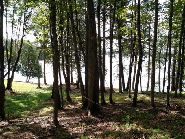 19103 Fish Hawk Lk Road Watersmeet, MI 49969 - Photo 11 of 22 Gallery Image 11