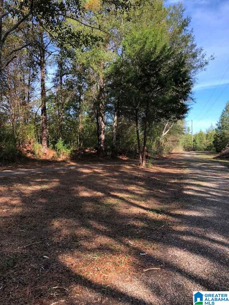 1554 Priebes Mill Road Oxford, AL 36203 - Photo 40 of 49