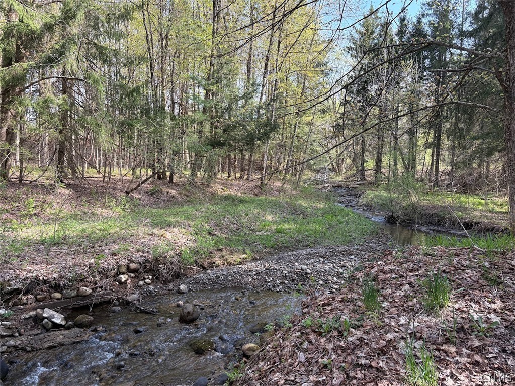 10827 Highway 365 Remsen, NY 13438 - Photo 17 of 26