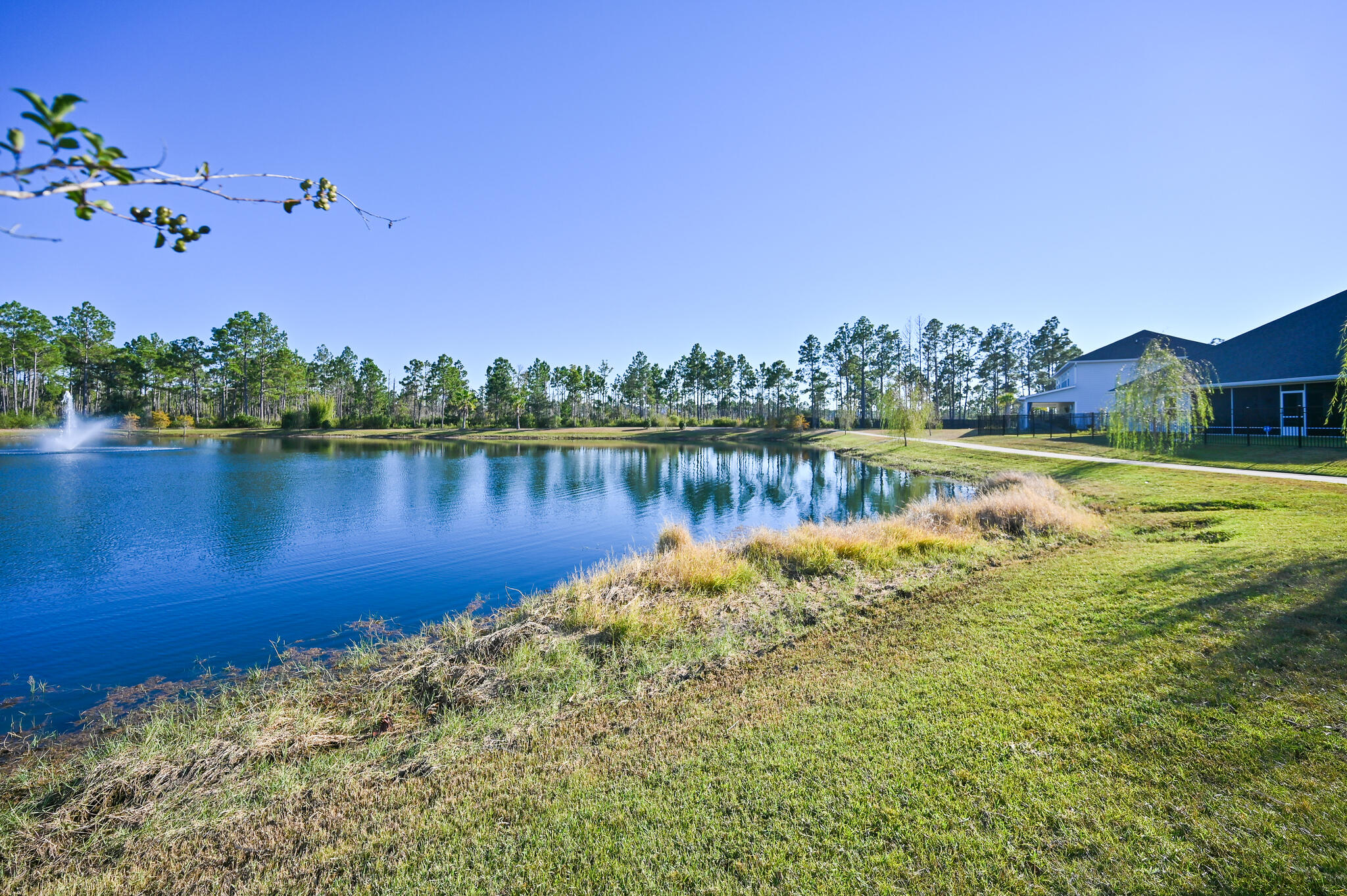 51 Palmview Lane Santa Rosa Beach, FL 32459 - Photo 38 of 45 web_51 Palm View Lane _53