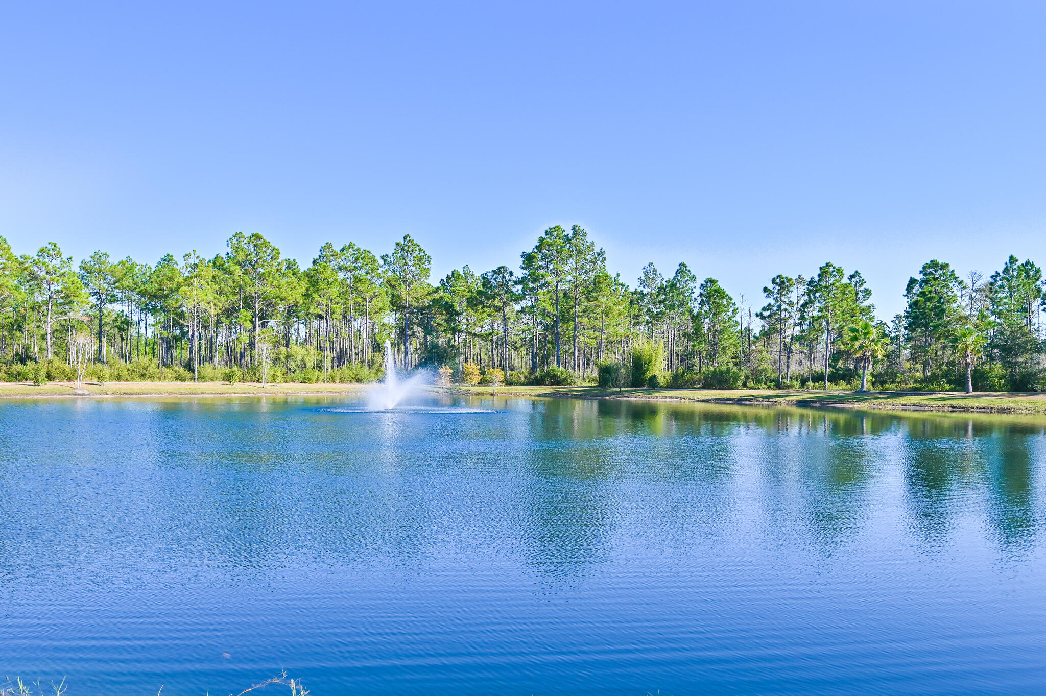 51 Palmview Lane Santa Rosa Beach, FL 32459 - Photo 39 of 45 web_51 Palm View Lane _54