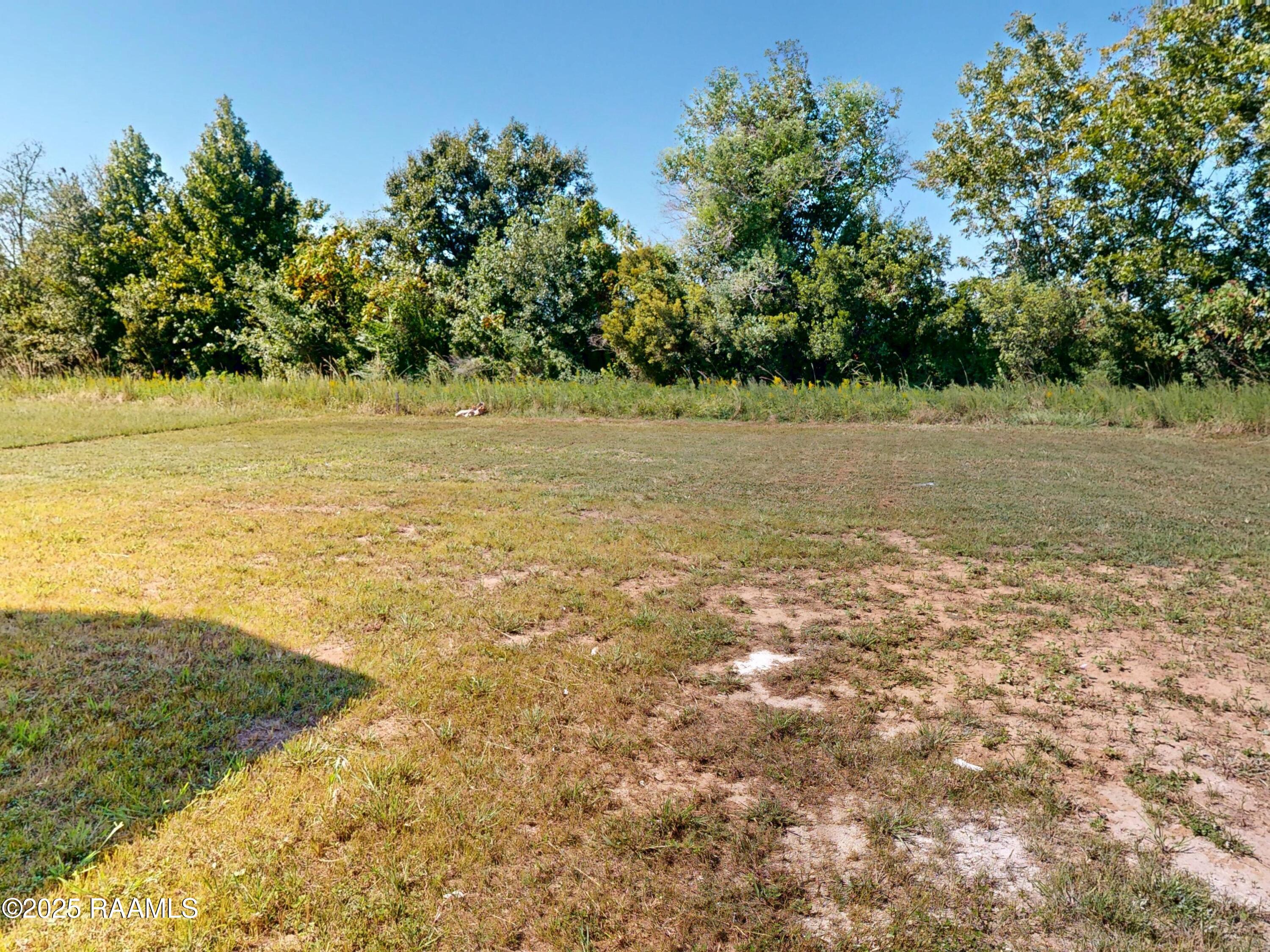 104 Spring Meadow Drive Broussard, LA 70518 - Photo 22 of 22 Backyard