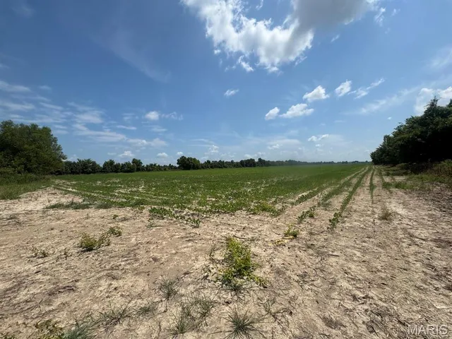 $60,000 | 36 County Road 629, Fisk, MO 63940