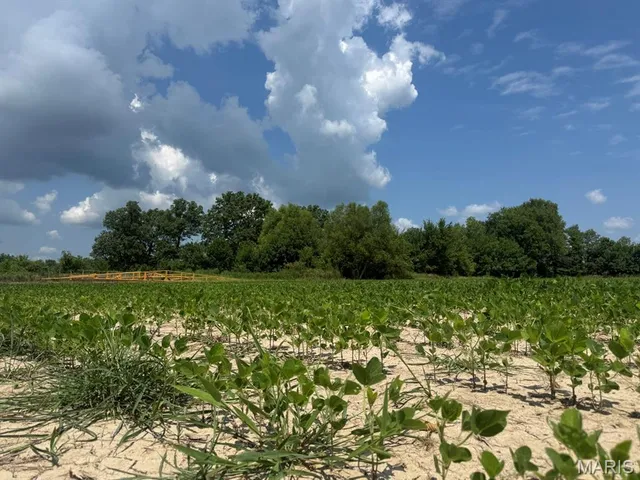 $60,000 | 36 County Road 629, Fisk, MO 63940