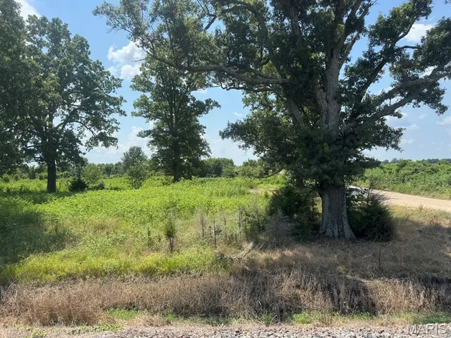 $60,000 | 36 County Road 629, Fisk, MO 63940