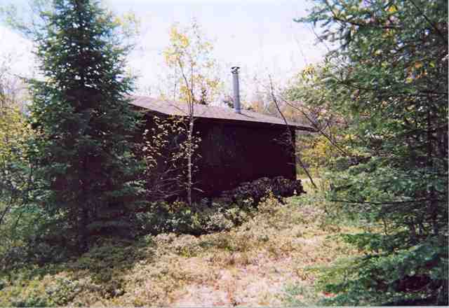 Tbd Vermilion Falls Road Crane Lake, MN 55725 - Photo 1 of 8