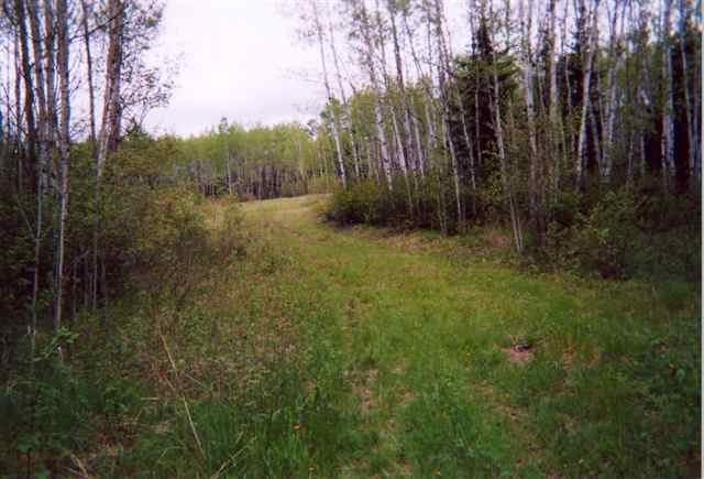Tbd Vermilion Falls Road Crane Lake, MN 55725 - Photo 5 of 8