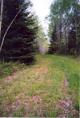 Tbd Vermilion Falls Road Crane Lake, MN 55725 - Photo 6 of 8