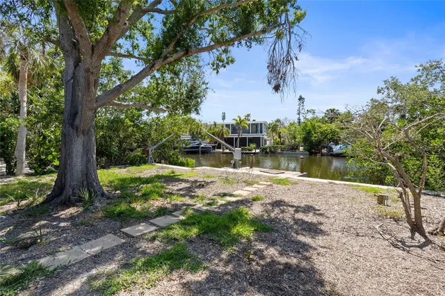 a view of a yard with plants and a large tree