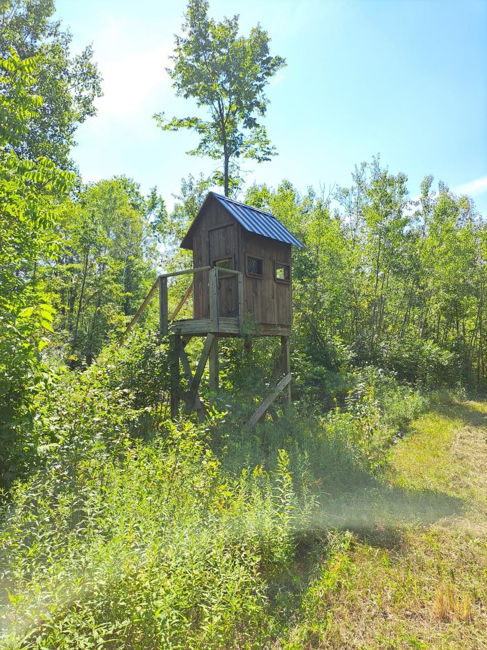 80-acres Surrey Road Clare, MI 48617 - Photo 6 of 8