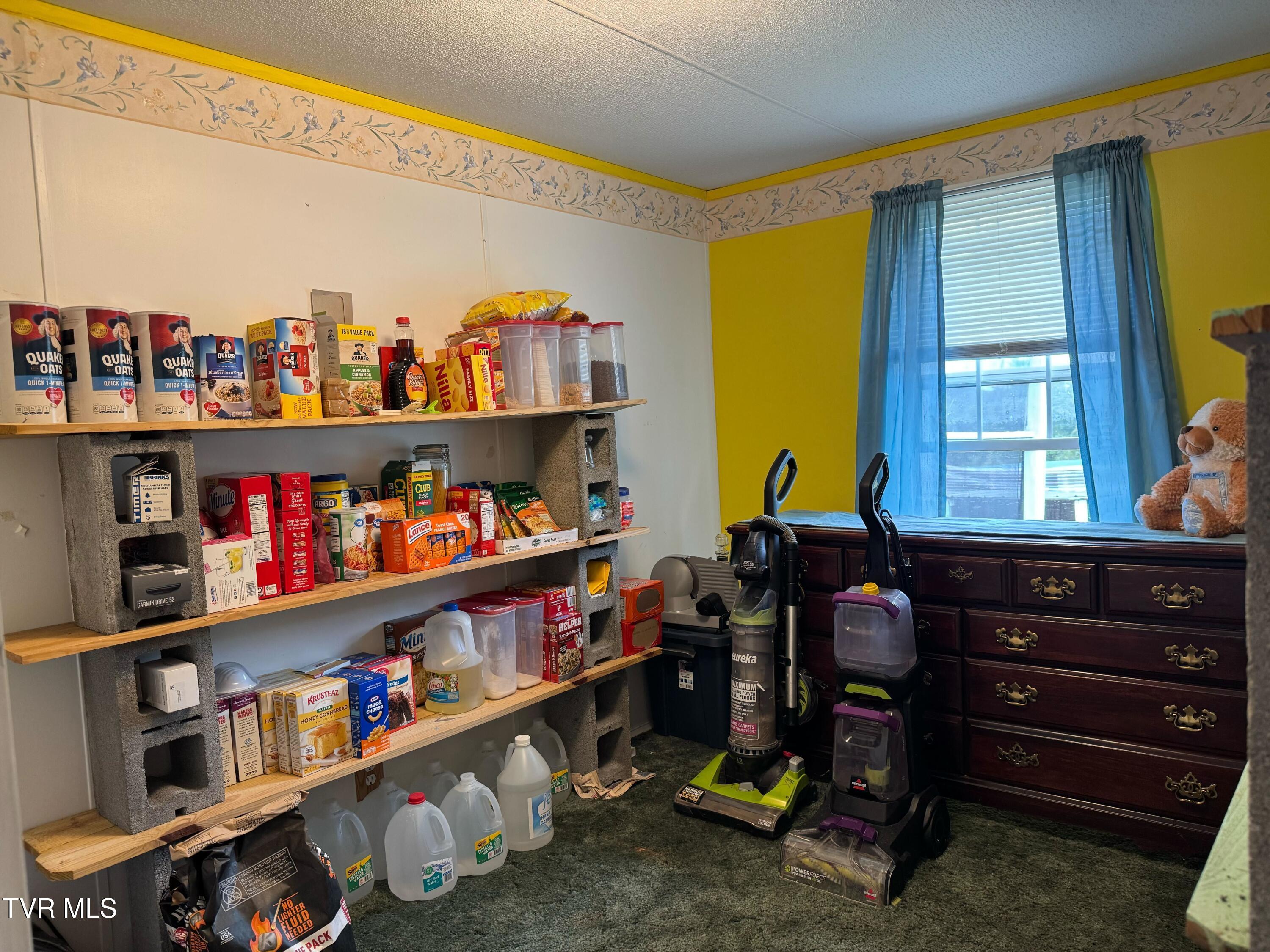 952 Morning Star Road Church Hill, TN 37642 - Photo 20 of 40 IMG_3397