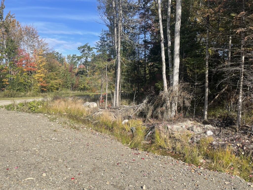 Lot 10-06 Rita's Way Wells, ME 04090 - Photo 3 of 8 Secluded and Private