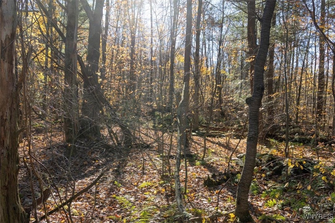 9881-9937 Larkin Road Eden, NY 14057 - Photo 12 of 22