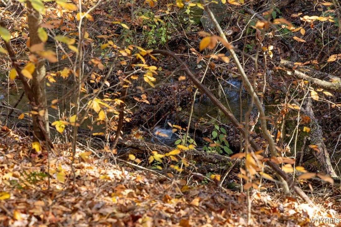 9881-9937 Larkin Road Eden, NY 14057 - Photo 13 of 22