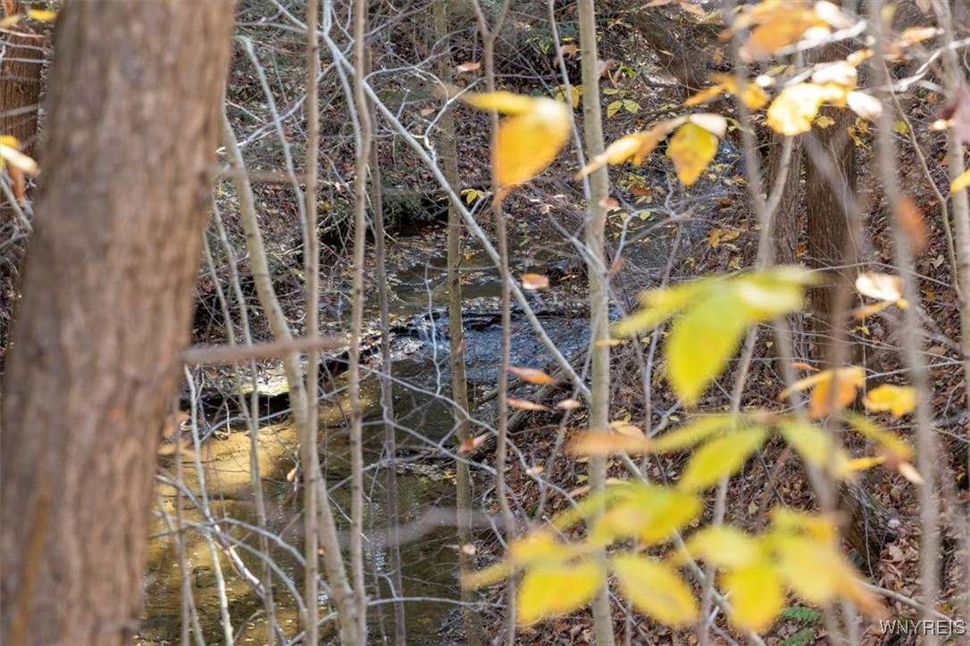 9881-9937 Larkin Road Eden, NY 14057 - Photo 14 of 22