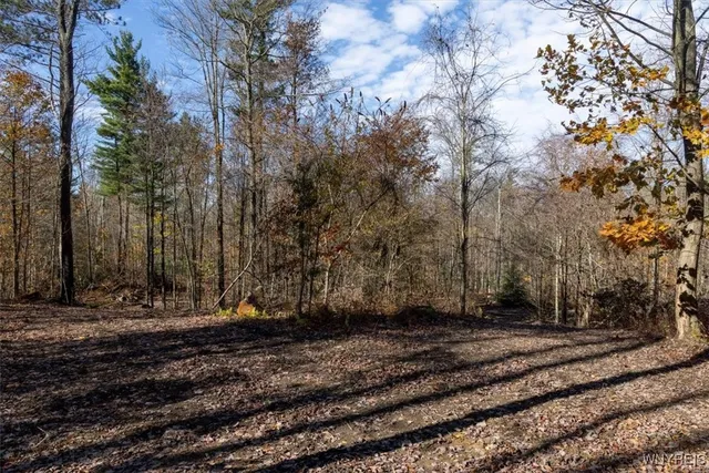 $533,200 | 9881-9937 Larkin Road, Eden, NY 14057