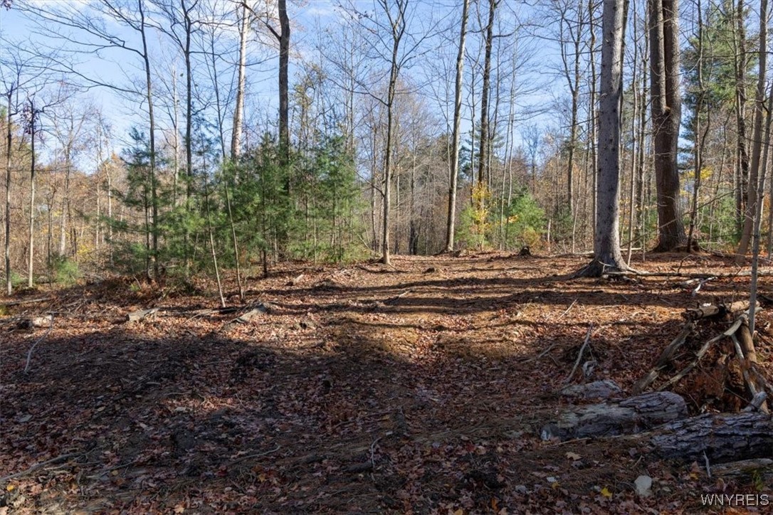 9881-9937 Larkin Road Eden, NY 14057 - Photo 16 of 22