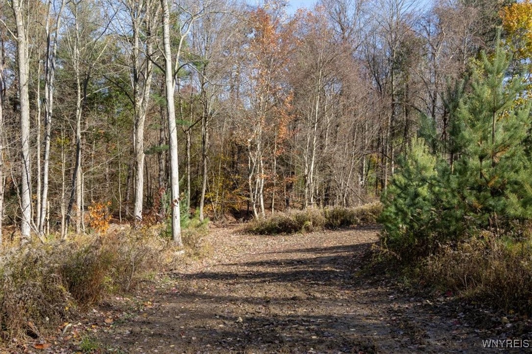 9881-9937 Larkin Road Eden, NY 14057 - Photo 18 of 22