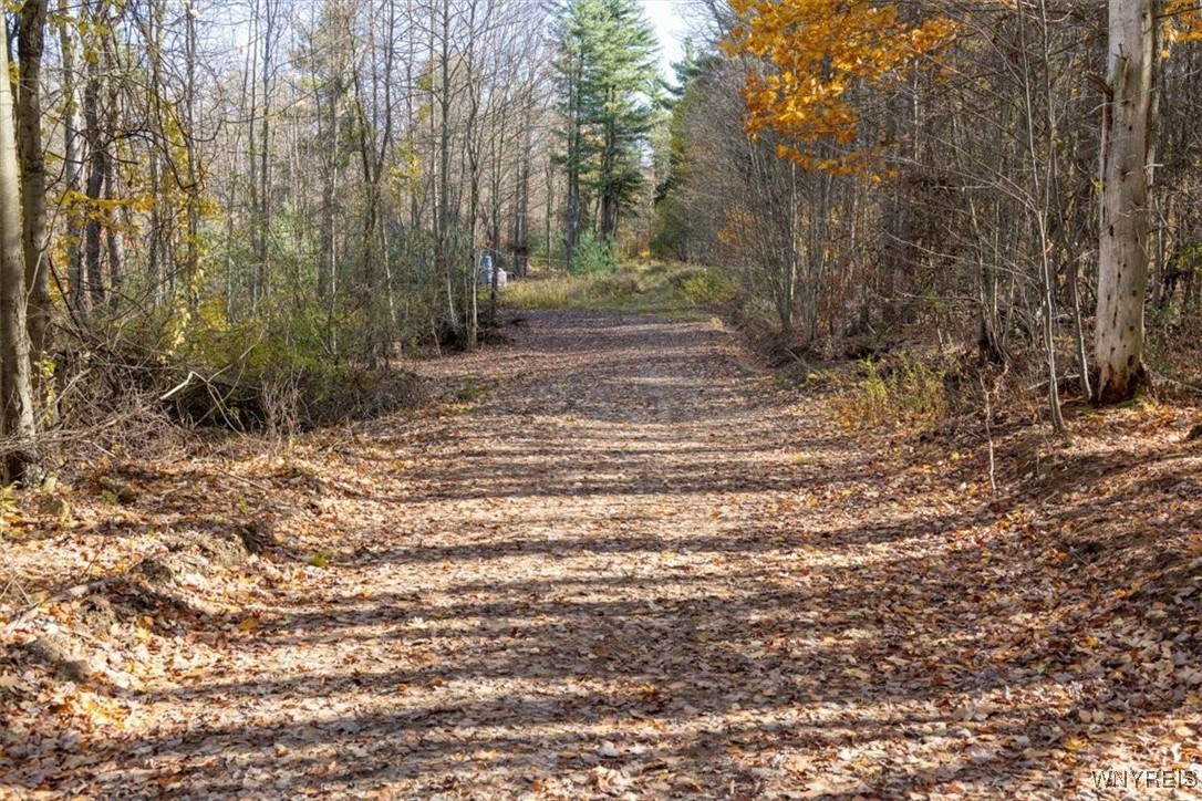 9881-9937 Larkin Road Eden, NY 14057 - Photo 20 of 22