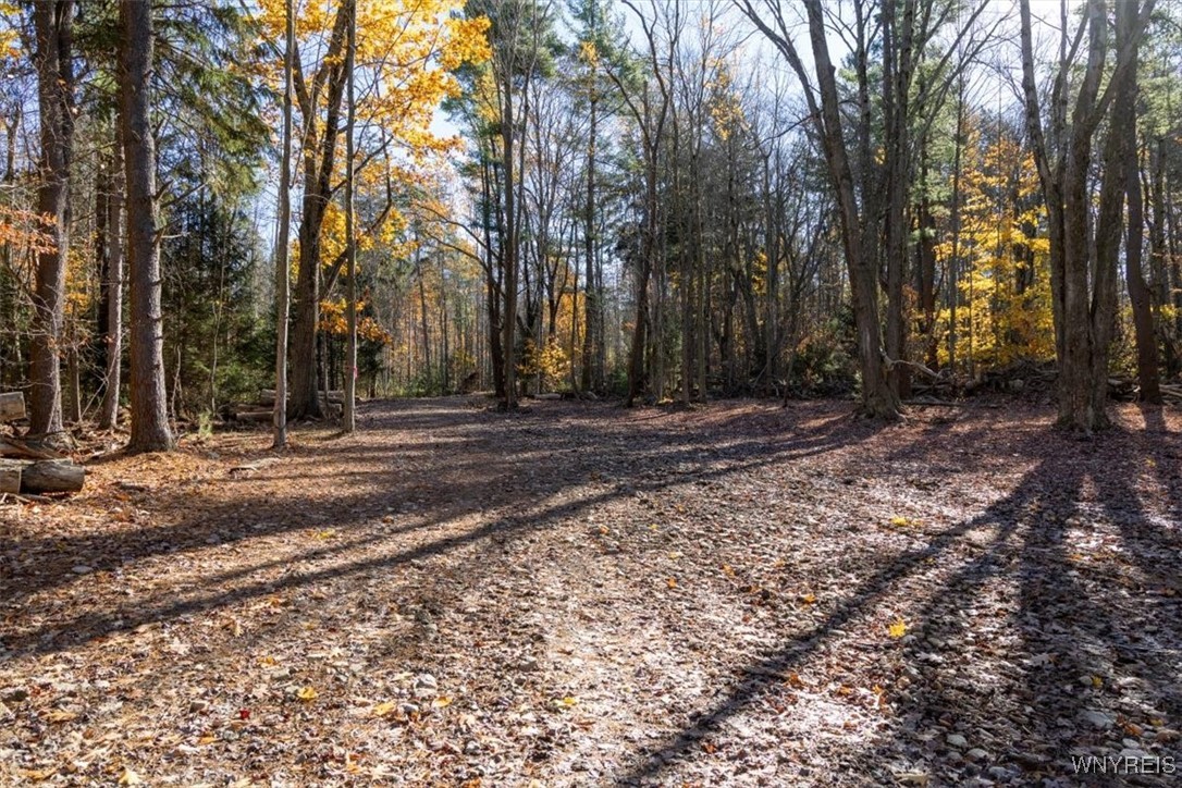 9881-9937 Larkin Road Eden, NY 14057 - Photo 2 of 22