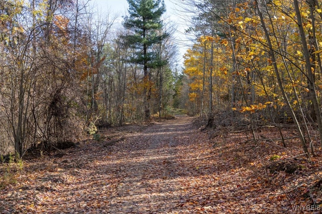 9881-9937 Larkin Road Eden, NY 14057 - Photo 21 of 22