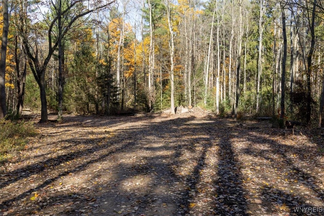 9881-9937 Larkin Road Eden, NY 14057 - Photo 22 of 22