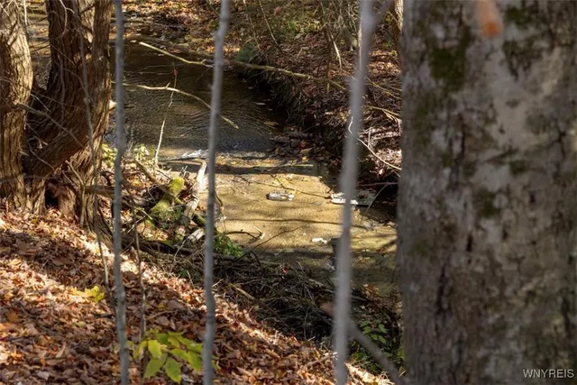 $533,200 | 9881-9937 Larkin Road, Eden, NY 14057