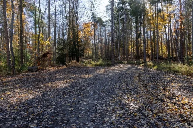 $533,200 | 9881-9937 Larkin Road, Eden, NY 14057