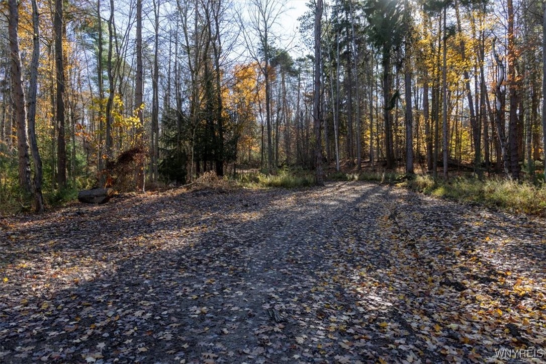 9881-9937 Larkin Road Eden, NY 14057 - Photo 5 of 22