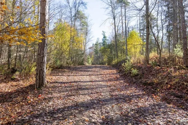 $533,200 | 9881-9937 Larkin Road, Eden, NY 14057